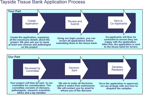 the stages in the tissue biorepository application process